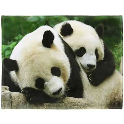 Image of YISUMEI Soft Fleece Blanket Personalized Giant Panda,150 x 200 cm Throw Suitable for Bed or Sofa