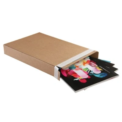 Image of Purely Everyday Carton Box Peel and Seal Kraft 165X46X240, of 25