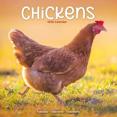 Image of Chickens Calendar 2026