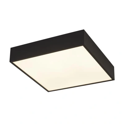 Image of Zeus 1 Light Square Bathroom Ceiling Light, Black 3000K IP44
