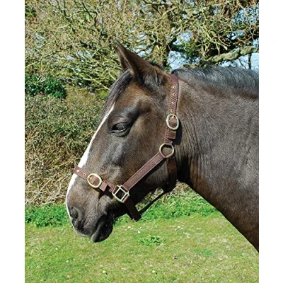 Image of Rhinegold Nylon Headcollar Shetland Brown