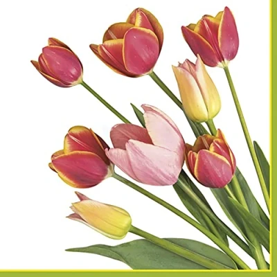 Image of Daisy 3 Ply Spring Flowers Tissue Paper Napkins Serviettes for Decoupage Lunch 33cm x Pack of 20 (Photo Tulips)