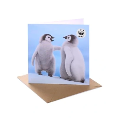 Image of UK Greetings Birthday/Greeting Card for Him/Her/Friend Photographic Penguins Design