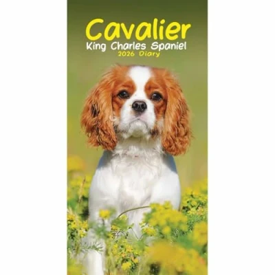 Image of Cavalier King Charles Spaniel Slim Diary 2026
