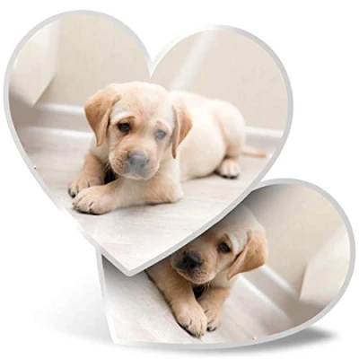 Image of 2 x Heart Stickers 7.5 cm Cute Labrador Puppy Dog Fun Decals for Laptops,Tablets,Luggage,Scrap Booking,Fridges, 2690