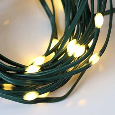 Image of Qbis Battery Powered Outdoor Lights Multifunction with Timer. Warm White Fairy on Green Wire. Micro LED String Lights. (30 Wire)