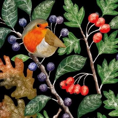 Image of Museums &amp; Galleries Christmas Cards Pack of 8 Robin and Frosty Berries Eco Friendly Recyclable