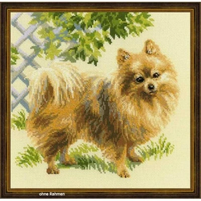 Image of RIOLIS Cross Stitch Kit 1585 Pomeranian