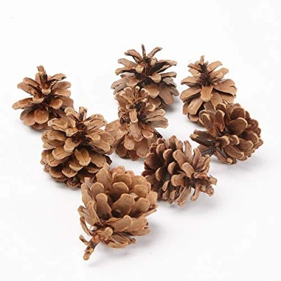 Image of 1kg (50) Austriaca Florist Fir Pine Cones Natural