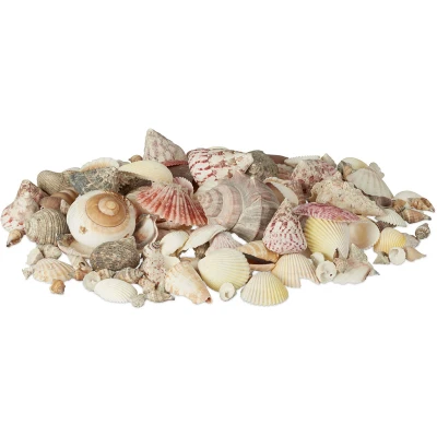 Image of Relaxdays Decor Seashell Set, Mix with Large Sea Snails, Scallops, Beach Crafting Decoration, Maritime, 1 kg, Colourful