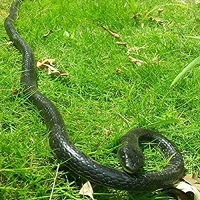 Image of Hapihom Fake Realistic Snake Lifelike Real Scary Rubber Toy Prank Party Joke Halloween