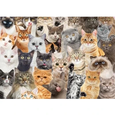 Image of All The Cats 1000 Piece Jigsaw Puzzle