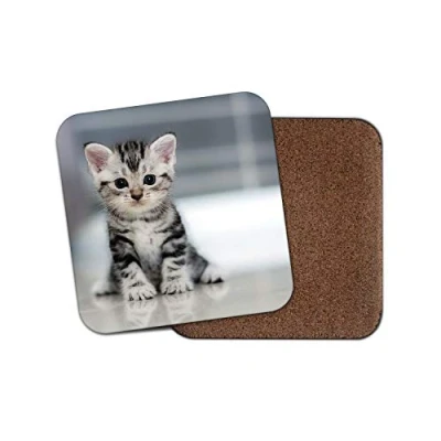Image of 1 x Adorable Kitten Cork Backed Drinks Coaster Cat Cats Kids Mum Sister #8433