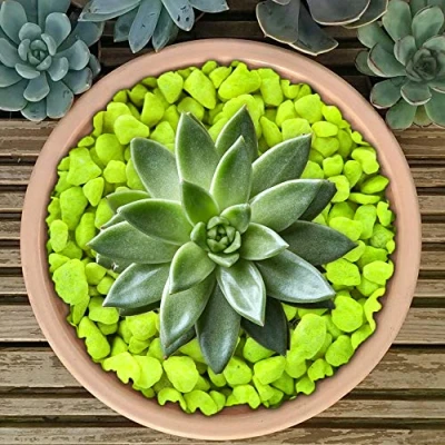Image of GardenersDream Premium Fluorescent Plant Pot Garden Gravel Stones for Decoration (Yellow, 20kg)