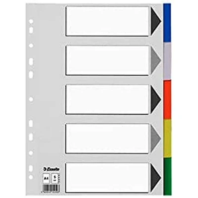 Image of Esselte 795685 A4 5 Positions Polypropylene Divider