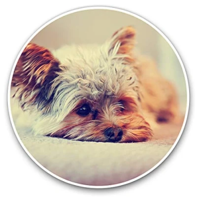 Image of 2 x Heart Stickers 10 cm Yorkshire Terrier Puppy Dog Fun Decals for Laptops,Tablets,Luggage,Scrap Booking,Fridges #15621