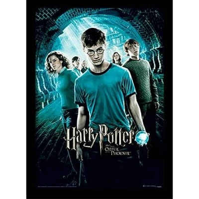 Image of Harry Potter &quot;Order of The Phoenix Framed Print, 30 x 40cm