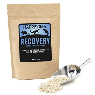 Image of Harrisons Bird Food Recovery Formula 350g for Sick Injured Animals Birds