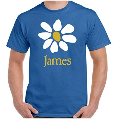 Image of James Alternative Rock Music Sit Down Laid T Shirt Sapphire L