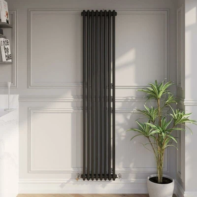 Image of Park Lane Traditional Vertical Colosseum Double Bar Column Radiator Black 1800 x 380mm