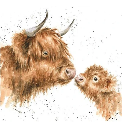 Image of Artistic Greeting Card (WRE CS156) Blank/Birthday &#039;Gentle One&#039; Highland Cow and Calf from The Country Set Range Suitable for Birthdays Other Occasions