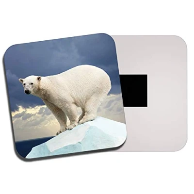 Image of 1 x Polar Bear Fridge Magnet Iceberg Arctic Ice Endangered Wild Animal #8586