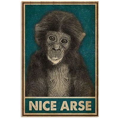 Image of Retro Nice Arse Monkey Vintage Wall Decor Metal Sign Plaque Poster 8x12 inch