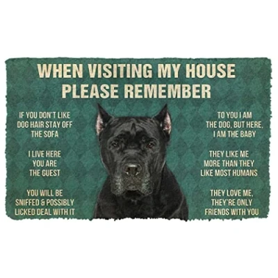 Image of Agriism Door Mat Indoor Entrance Please Remember Cane Corso Dogs House Rules Doormat Personalized Gifts Home Decor Housewarming 24x16 Inch