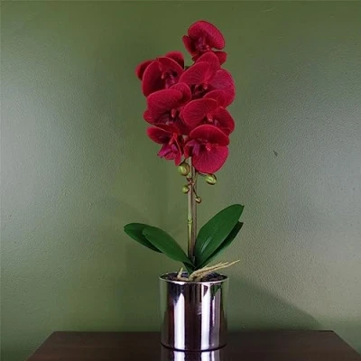 Image of Leaf 46cm Artificial Orchid Red with Silver Pot