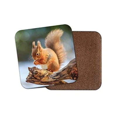 Image of 1 x Adorable Ginger Squirrel Coaster Cute Wildlife Wild Animals Woods #12854