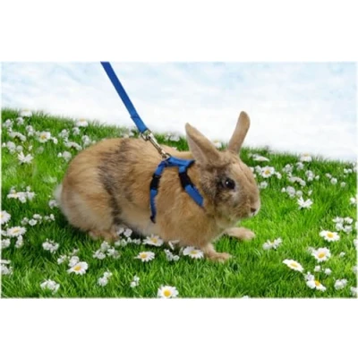 Image of Trixie Rabbit Harness and Leash, Assorted Colors, 6260
