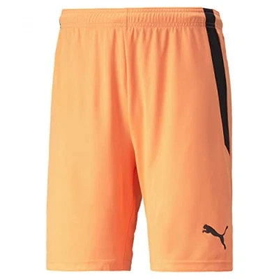 Image of PUMA Shorts Brand Model teamLIGA