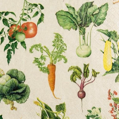 Image of 20 Napkins Eco Line Sustainable Made from 100% Recycled Paper Vegetables Garden Food Summer Table Decoration 33 x cm