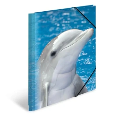 Image of HERMA 7141 Portfolio Folders A4 Animals Dolphins, Pack of 3, Children&#039;s Plastic Corner Folder with Inner Print and Elastic Band, Sturdy Set for Boys Girls