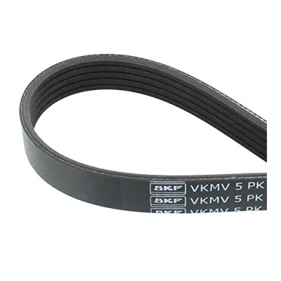 Image of 46548454, 71749447, 71753865 V ribbed belt SKF VKMV 5PK1175 1175mm 5 ABARTH: 500 / 595 695 Hatchback, ALFA ROMEO: MiTo, FIAT: Punto II Hatchback