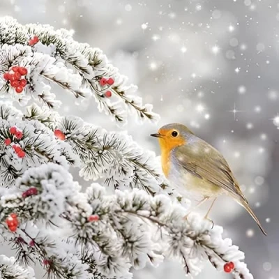 Image of GBCC Charity Christmas Cards Pack of 6 with a Robin on Snowy Branch Design Eco Friendly Xmas Multipack Envelopes