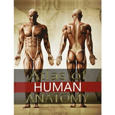 Image of Atlas of Human Anatomy