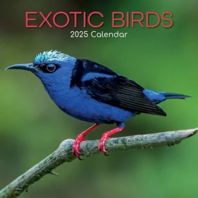 Image of Exotic Birds Exotische Vögel 2025 16 Monatskalender: Original Gifted Stationery Kalender [Mehrsprachig] [Kalender]