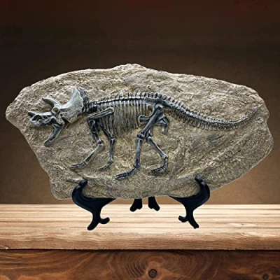 Image of XINDAM Resin Triceratops Dinosaur Fossil Statue Model Simulated Skeleton Home Office Display Decorative Craft Box Decoration (Style 6)