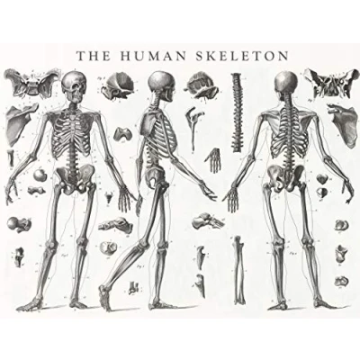 Image of Robert Frederick RFS13286 24&#039; Jigsaw