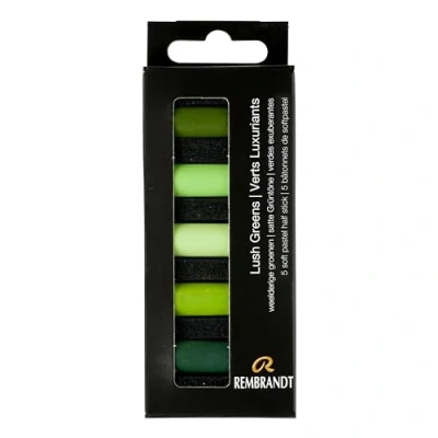 Image of Rembrandt Professional Soft Pastel Set Lush Greens 5 Half Pastels