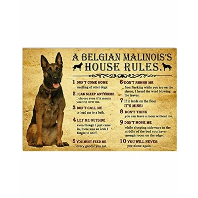 Image of TNND House Rules By Belgian Malinois Dog Funny Gift For Family Metal Sign Art Tin Poster 8x12 inch