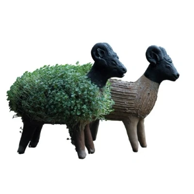Image of Tumia LAC Grow your own sheep cress figure