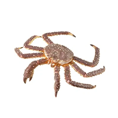 Image of CollectA King Crab