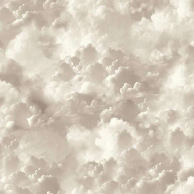 Image of Arthouse Wallpaper Vanilla Skies 100189AH