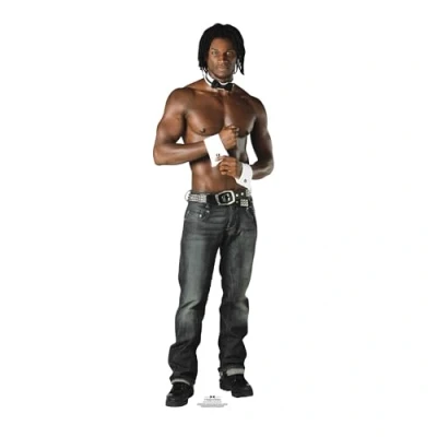 Image of STAR CUTOUTS SC503 Cut Out of Chaun Chippendale, Solid, Multicolor, Regular
