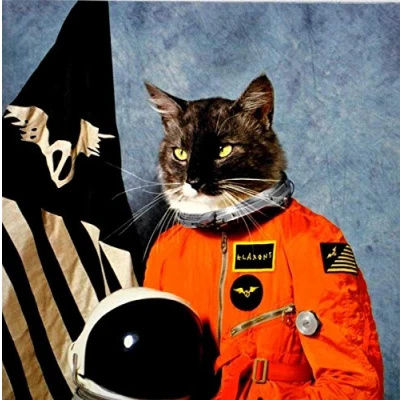 Image of Klaxons Surfing The Void 2010 UK CD album RINSELP2