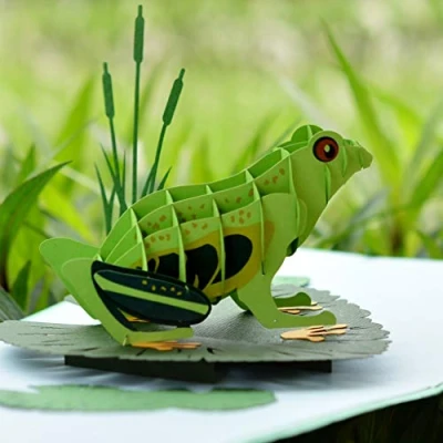 Image of CUTPOPUP Frog Card Pop Up, 3D Birthday For Daughter, Son, Kids, Nephew, Niece, Mothers Day Wonderful Gift Children, Teenager, Lovers On Birthday, Greeting, Christmas UK