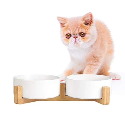 Image of Ceramic Dog Bowl Set cat Bowls with Non Slip Wood Stand No Spill Double Pet Dish for Food Water Feeding (2 Cup Suitable and small dog)