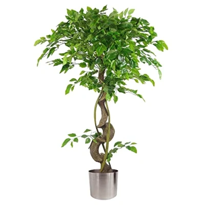 Image of Leaf Realistic Artificial Japanese Fruticosa Ficus Tree, Twisted Silver, 120cm (4ft)